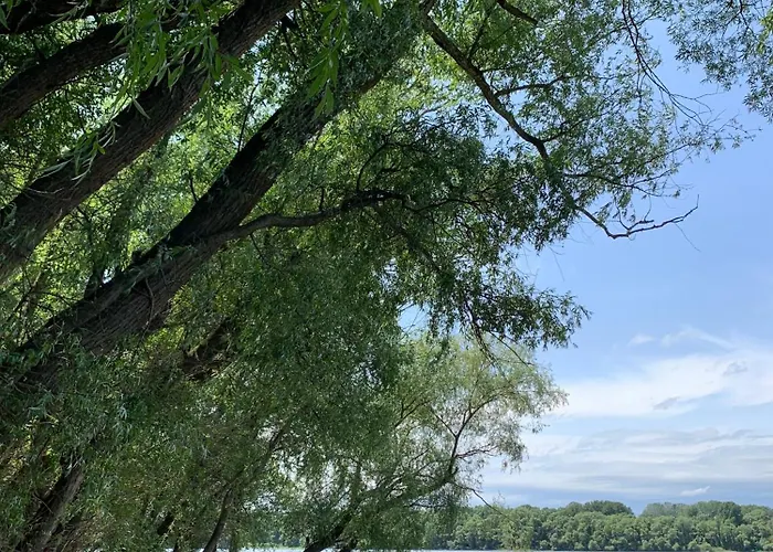 Appartamento Villa Esztergom